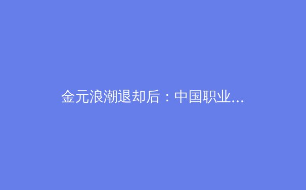 金元浪潮退却后：中国职业足球的理性重建与青训体系破局之路 - 4